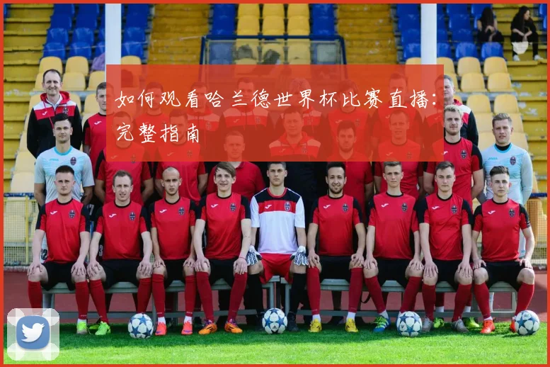如何观看哈兰德世界杯比赛直播：完整指南